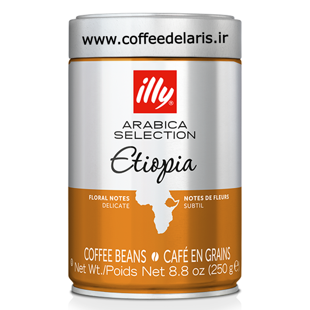 دانه قهوه ایلی اتیوپی 250 گرمی
